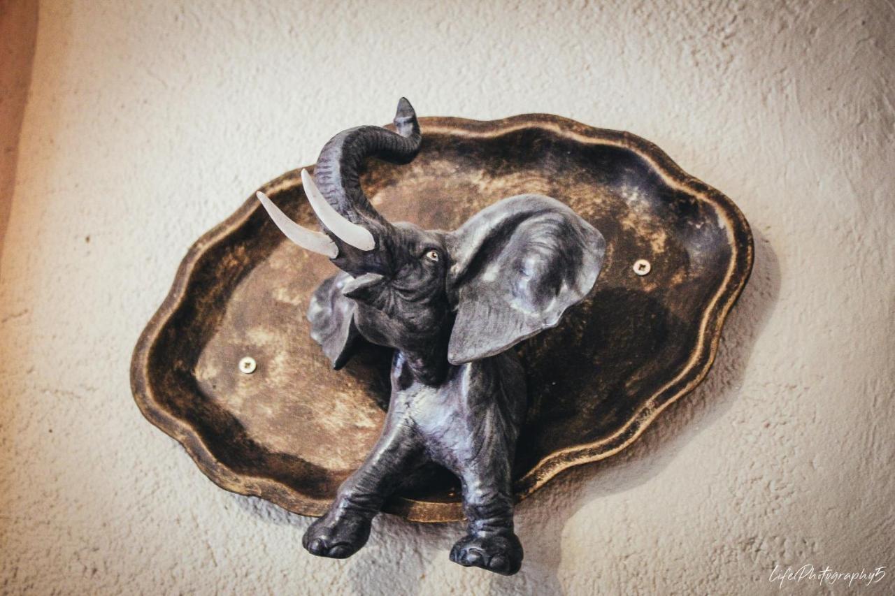 African Elephant'S Den Klerksdorp Esterno foto
